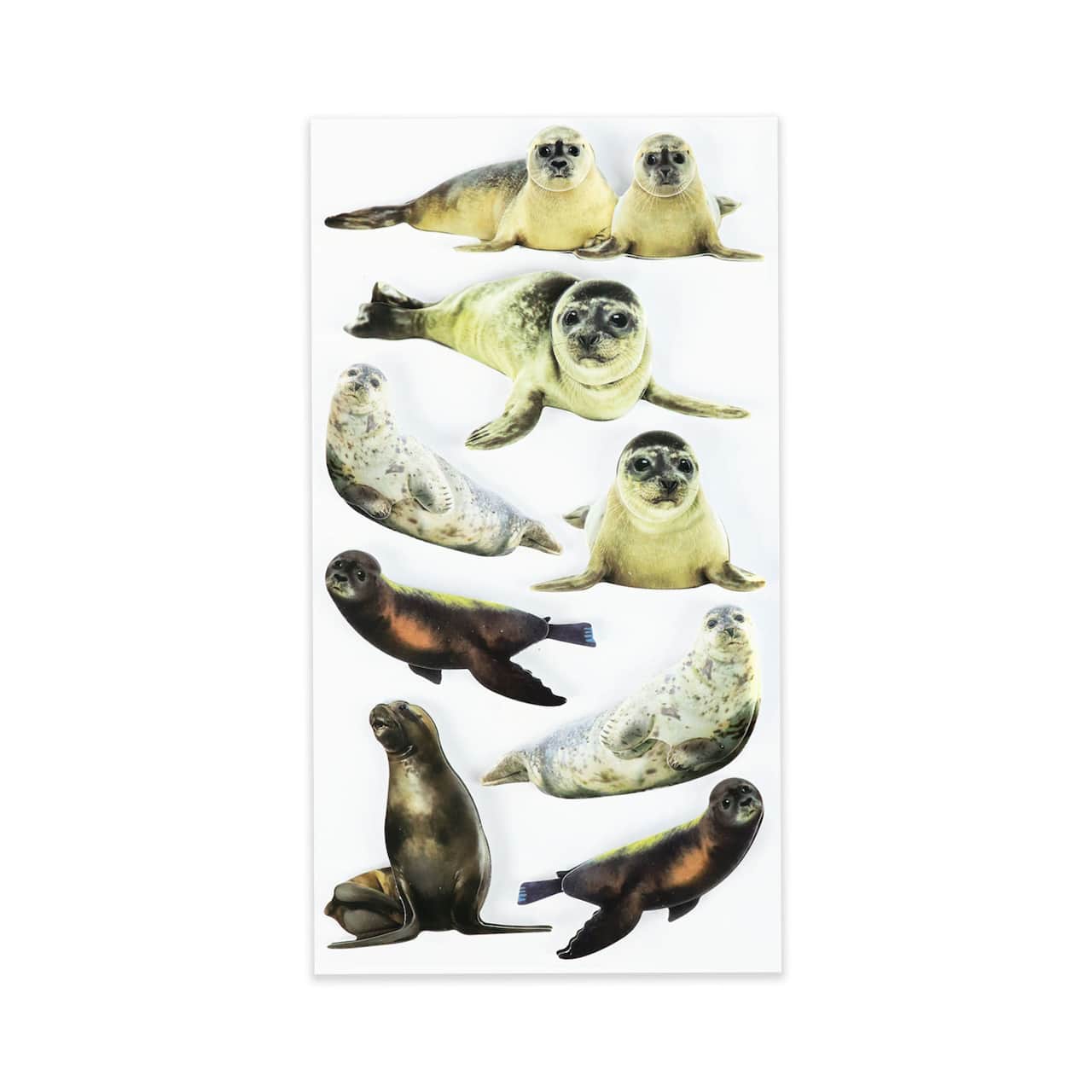 12 Pack: Seal Stickers by Recollections™